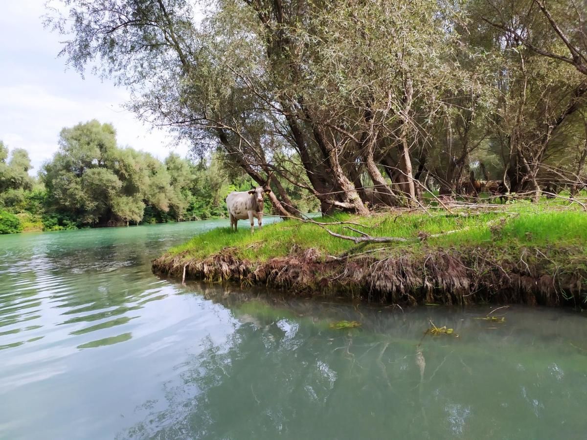 Апартаменты Apartment Dejic Вирпазар-34