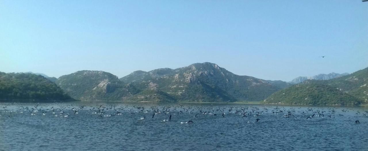 Апартаменты Apartment Dejic Вирпазар-38