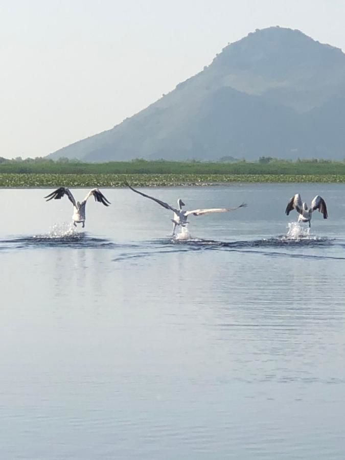 Апартаменты Apartment Dejic Вирпазар-39