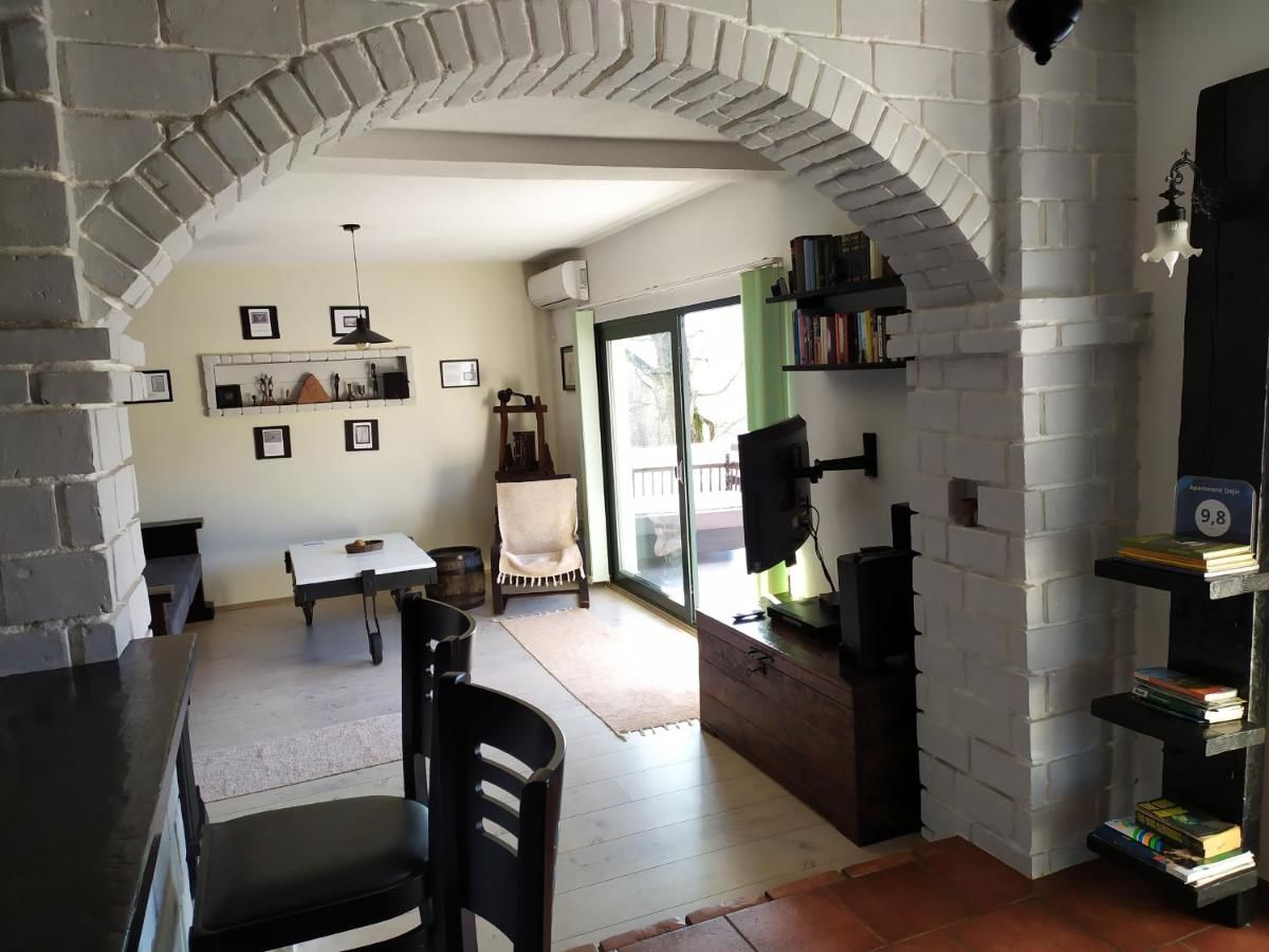 Апартаменты Apartment Dejic Вирпазар-11