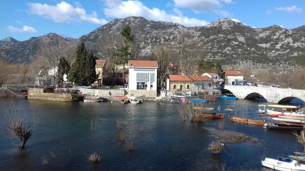 Апартаменты Apartment Dejic Вирпазар-97