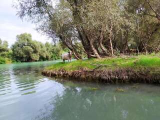 Апартаменты Apartment Dejic Вирпазар Апартаменты с видом на озеро-31