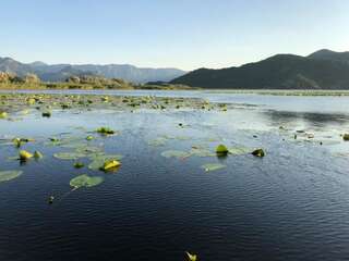 Апартаменты Apartment Dejic Вирпазар Апартаменты с видом на озеро-34