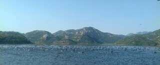 Апартаменты Apartment Dejic Вирпазар Апартаменты с видом на озеро-35