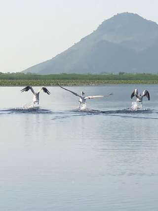 Апартаменты Apartment Dejic Вирпазар Апартаменты с видом на озеро-36