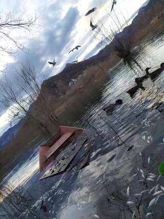 Апартаменты Apartment Dejic Вирпазар Апартаменты с видом на озеро-37