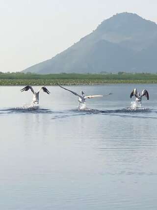 Апартаменты Apartment Dejic Вирпазар Апартаменты с видом на озеро-68