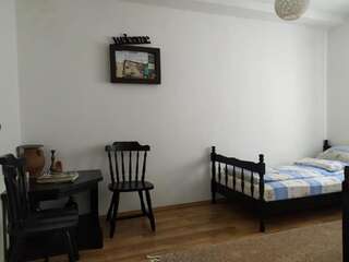 Апартаменты Apartment Dejic Вирпазар Апартаменты с видом на озеро-83