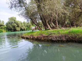 Апартаменты Apartment Dejic Вирпазар Апартаменты с видом на озеро-91