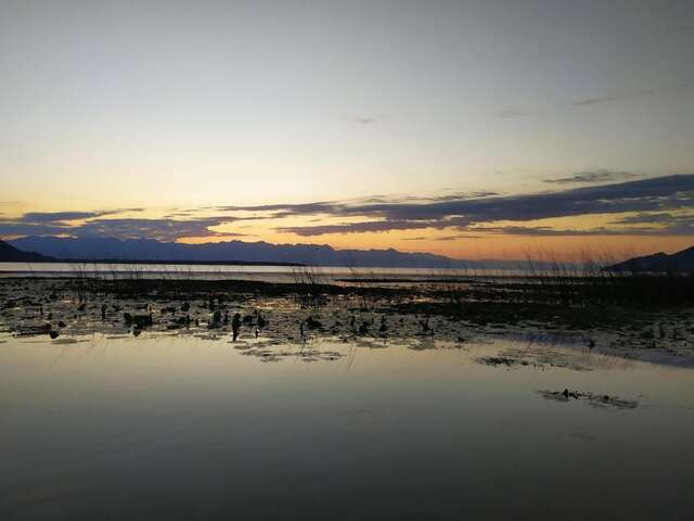 Апартаменты Apartment Dejic Вирпазар-27