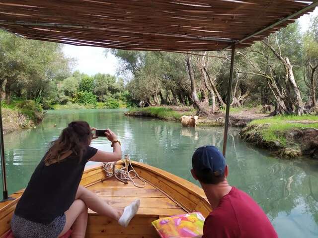 Апартаменты Apartment Dejic Вирпазар-31