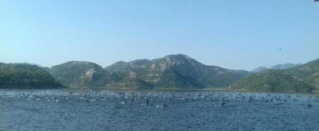 Апартаменты Apartment Dejic Вирпазар-83