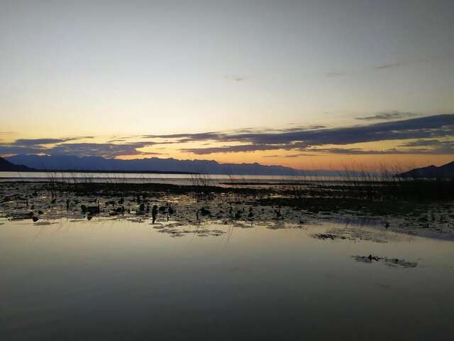 Апартаменты Apartment Dejic Вирпазар-90