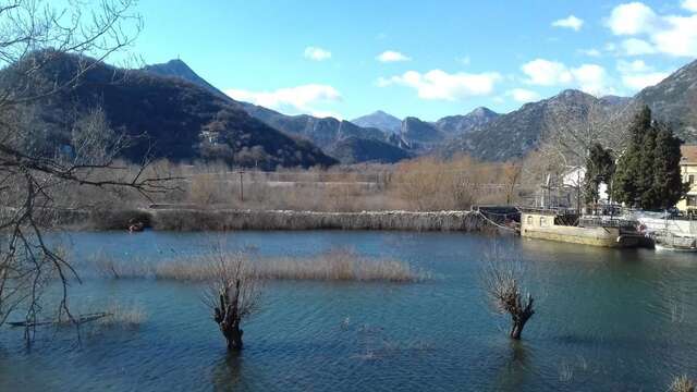 Апартаменты Apartment Dejic Вирпазар-98